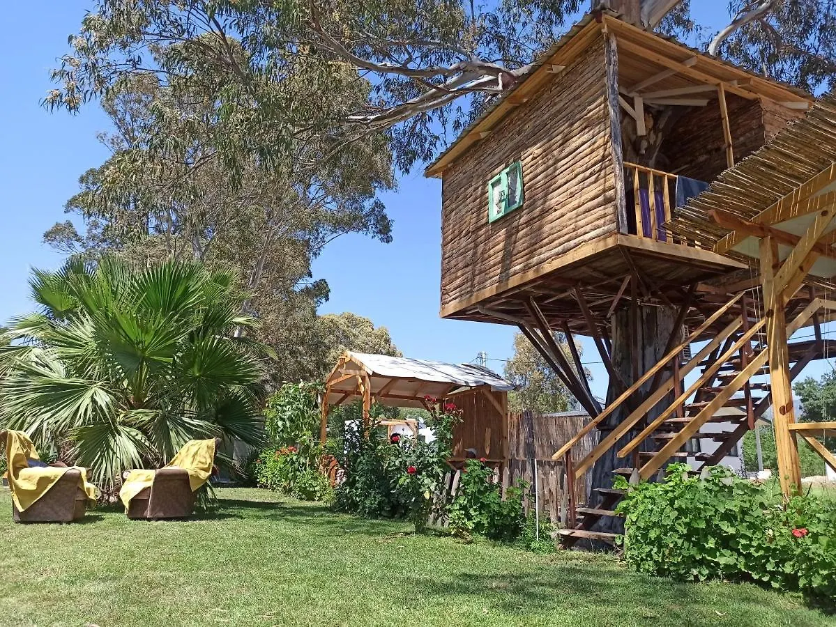 Daidala Life Bed & Breakfast Gocek